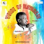 Voice of Ilayaraja movie poster